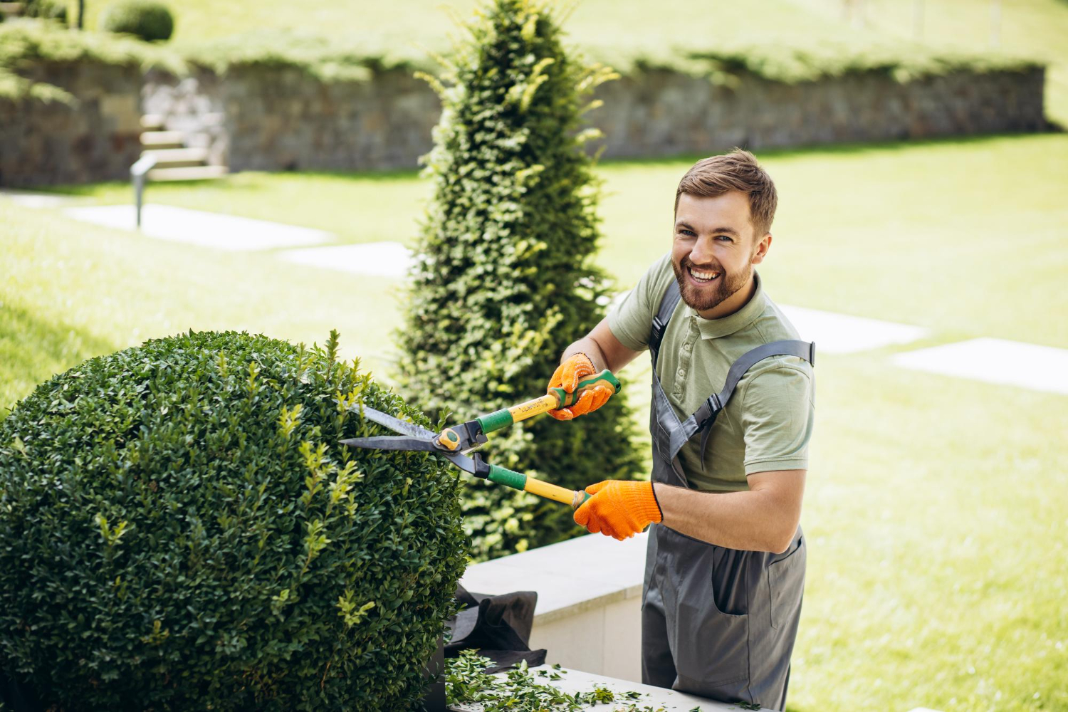 How to Start a Landscaping Business: A Comprehensive Guide